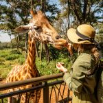 Safari en Tanzanie : une aventure inoubliable