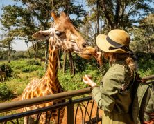 Safari en Tanzanie : une aventure inoubliable